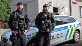 policie pomoc